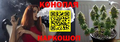 гидропоника Свободный