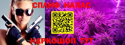 гидропоника Свободный