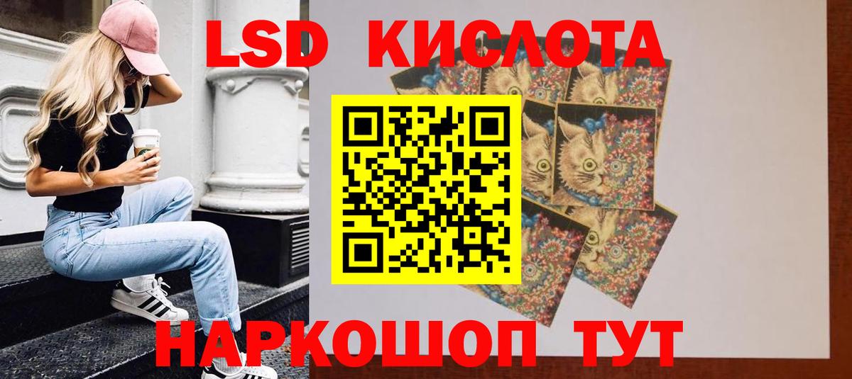 МЕФ Ноябрьск