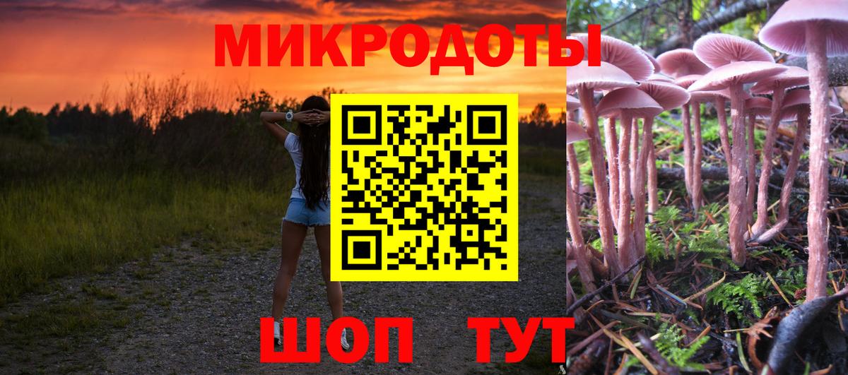 Псилоцибиновые грибы MAGIC MUSHROOMS  Псилоцибиновые грибы ЛСД  Вход с VPN  купить наркотик  Ноябрьск 