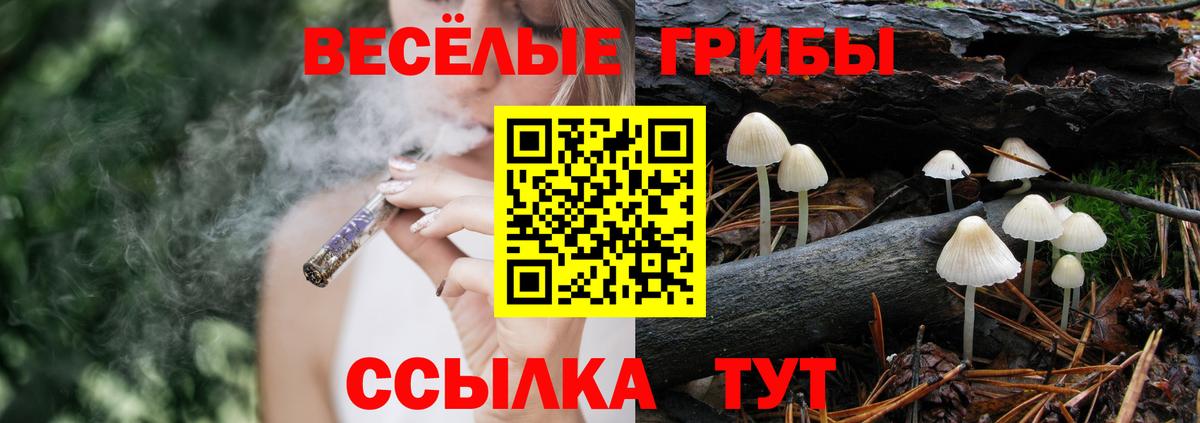 Псилоцибиновые грибы Psilocybe Ноябрьск